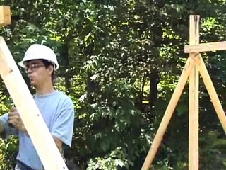 Young cock for construction worker